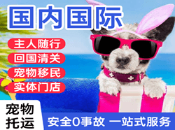 西宁航空邮寄国际宠物托运 【国
